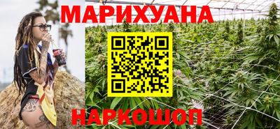 гидра Будённовск