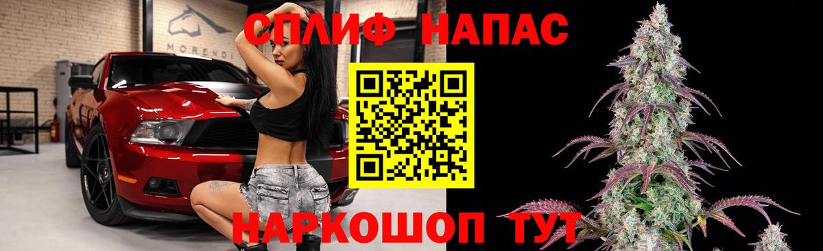 Марихуана конопля Моздок